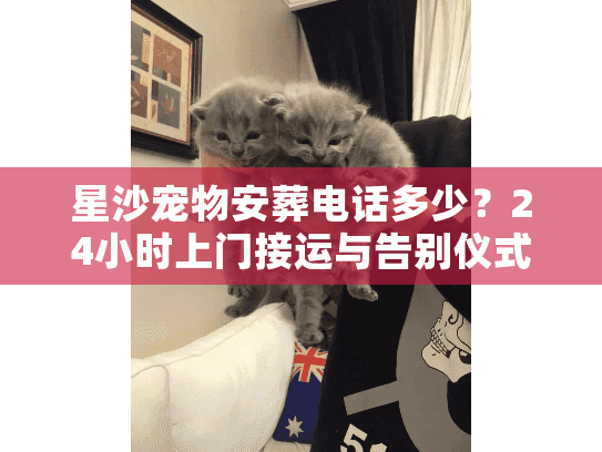 星沙宠物安葬电话多少？24小时上门接运与告别仪式避坑实录