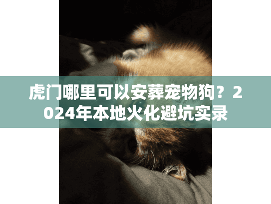 虎门哪里可以安葬宠物狗？2024年本地火化避坑实录