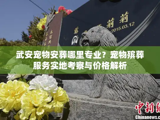 武安宠物安葬哪里专业？宠物殡葬服务实地考察与价格解析