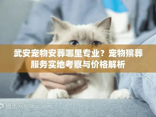 武安宠物安葬哪里专业？宠物殡葬服务实地考察与价格解析