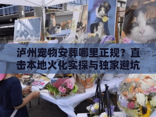 泸州宠物安葬哪里正规?直击本地火化实探与独家避坑策略 泸州宠物安葬哪里正规?直击本地火化实探与独家避坑策略