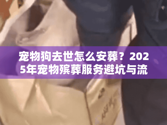 宠物狗去世怎么安葬？2025年宠物殡葬服务避坑与流程
