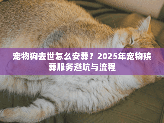 宠物狗去世怎么安葬？2025年宠物殡葬服务避坑与流程