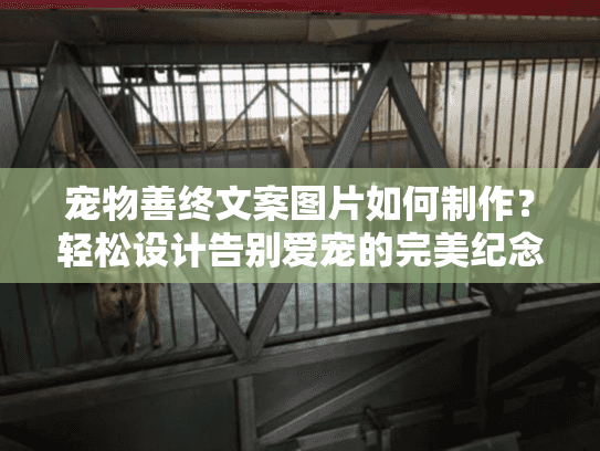 宠物善终文案图片如何制作？轻松设计告别爱宠的完美纪念