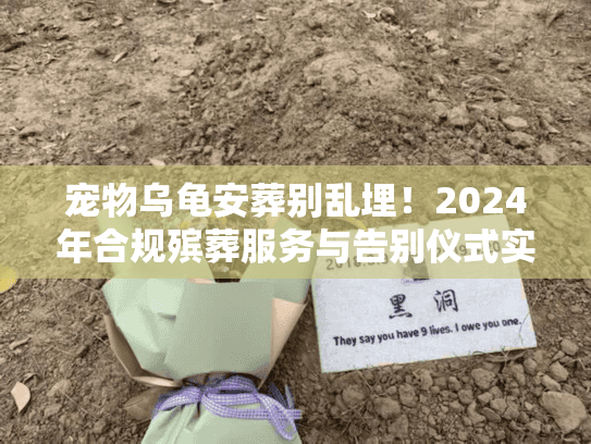 宠物乌龟安葬别乱埋!2024年合规殡葬服务与告别仪式实操 宠物乌龟安葬别乱埋!2024年合规殡葬服务与告别仪式实操