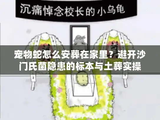宠物蛇怎么安葬在家里？避开沙门氏菌隐患的标本与土葬实操