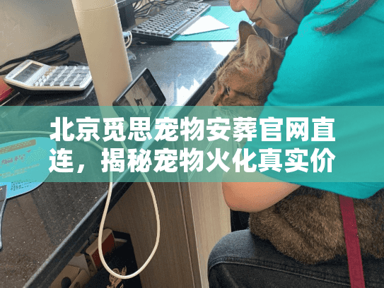 北京觅思宠物安葬官网直连，揭秘宠物火化真实价格与避坑门道