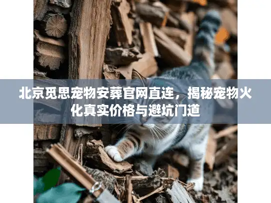 北京觅思宠物安葬官网直连，揭秘宠物火化真实价格与避坑门道