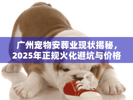 广州宠物安葬业现状揭秘，2025年正规火化避坑与价格