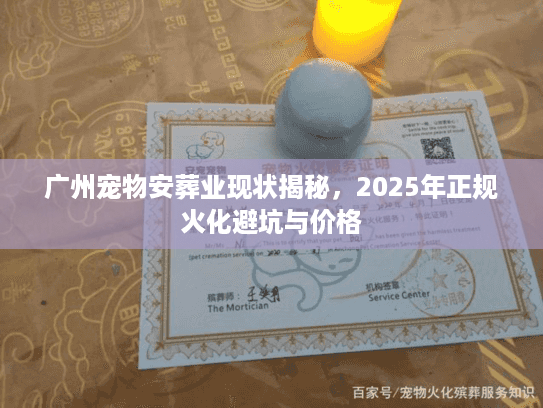 广州宠物安葬业现状揭秘，2025年正规火化避坑与价格