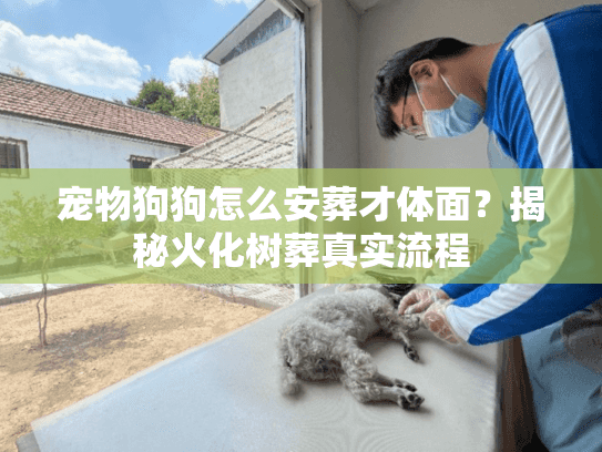 宠物狗狗怎么安葬才体面？揭秘火化树葬真实流程