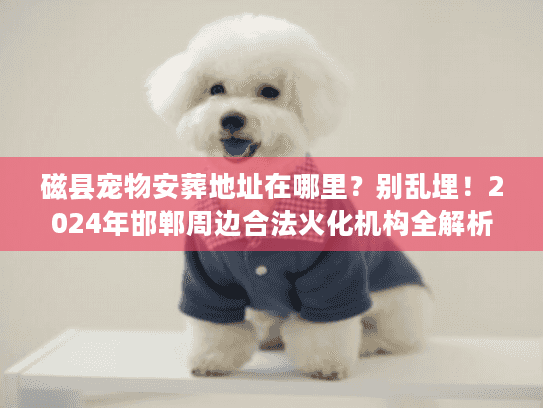 磁县宠物安葬地址在哪里？别乱埋！2024年邯郸周边合法火化机构全解析