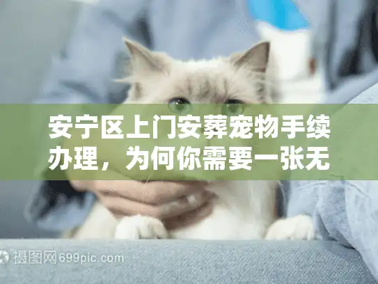 安宁区上门安葬宠物手续办理,为何你需要一张无害化处理证明? 安宁区上门安葬宠物手续办理,为何你需要一张无害化处理证明?