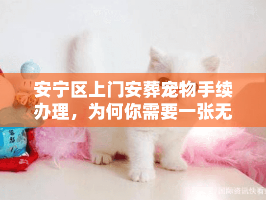 安宁区上门安葬宠物手续办理,为何你需要一张无害化处理证明? 安宁区上门安葬宠物手续办理,为何你需要一张无害化处理证明?
