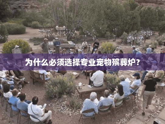 为什么必须选择专业宠物殡葬炉? 为什么必须选择专业宠物殡葬炉?