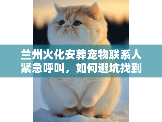 兰州火化安葬宠物联系人紧急呼叫,如何避坑找到正规善终? 兰州火化安葬宠物联系人紧急呼叫,如何避坑找到正规善终?