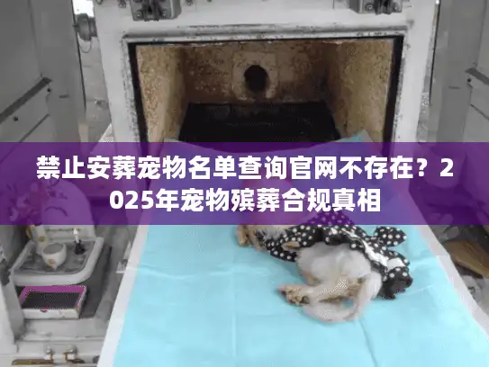 禁止安葬宠物名单查询官网不存在？2025年宠物殡葬合规真相