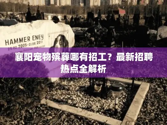 襄阳宠物殡葬哪有招工？最新招聘热点全解析
