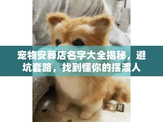 宠物安葬店名字大全揭秘，避坑套路，找到懂你的摆渡人