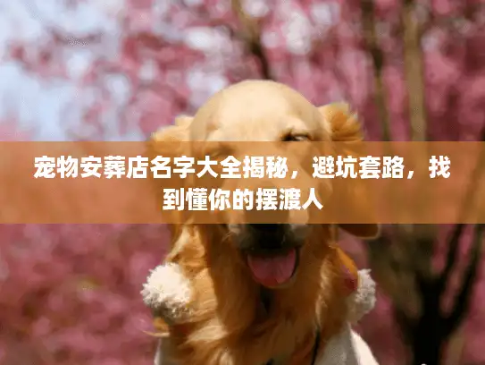 宠物安葬店名字大全揭秘，避坑套路，找到懂你的摆渡人