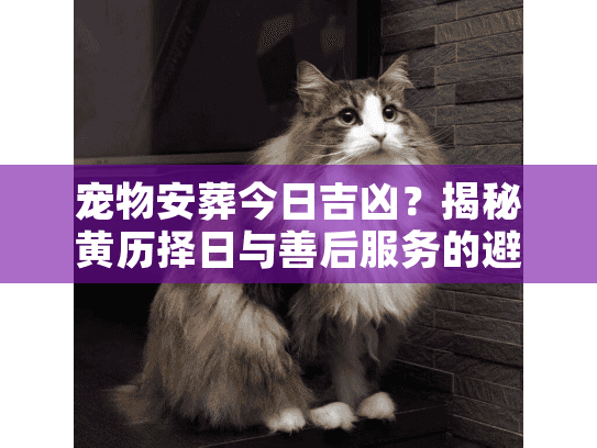 宠物安葬今日吉凶？揭秘黄历择日与善后服务的避坑实策