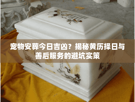 宠物安葬今日吉凶？揭秘黄历择日与善后服务的避坑实策