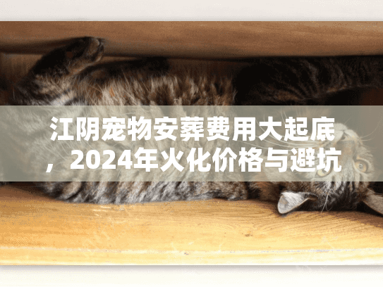 江阴宠物安葬费用大起底，2024年火化价格与避坑内幕