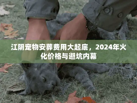 江阴宠物安葬费用大起底，2024年火化价格与避坑内幕