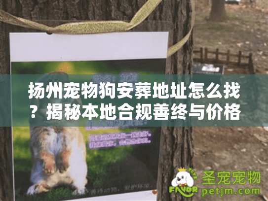 扬州宠物狗安葬地址怎么找?揭秘本地合规善终与价格避坑 扬州宠物狗安葬地址怎么找?揭秘本地合规善终与价格避坑
