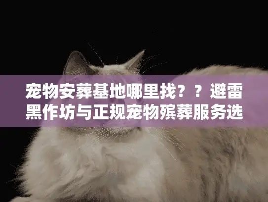 宠物安葬基地哪里找？？避雷黑作坊与正规宠物殡葬服务选址实操