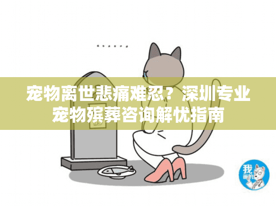 宠物离世悲痛难忍？深圳专业宠物殡葬咨询解忧指南