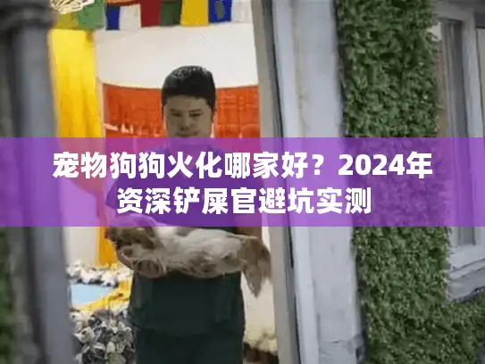 宠物狗狗火化哪家好？2024年资深铲屎官避坑实测
