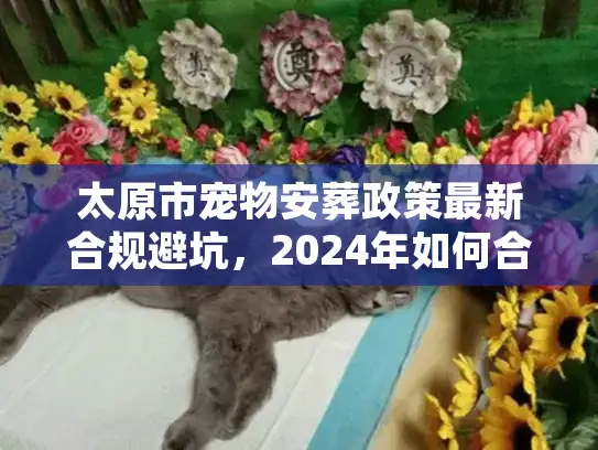 太原市宠物安葬政策最新合规避坑,2024年如何合法送别爱宠 太原市宠物安葬政策最新合规避坑,2024年如何合法送别爱宠