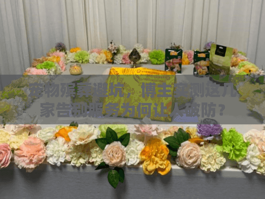 宠物殡葬避坑，博主实测这几家告别服务为何让人破防？