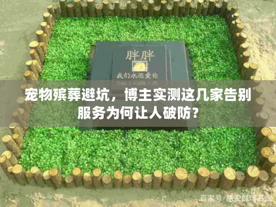 宠物殡葬避坑，博主实测这几家告别服务为何让人破防？