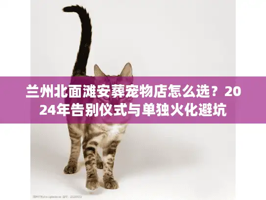 兰州北面滩安葬宠物店怎么选？2024年告别仪式与单独火化避坑