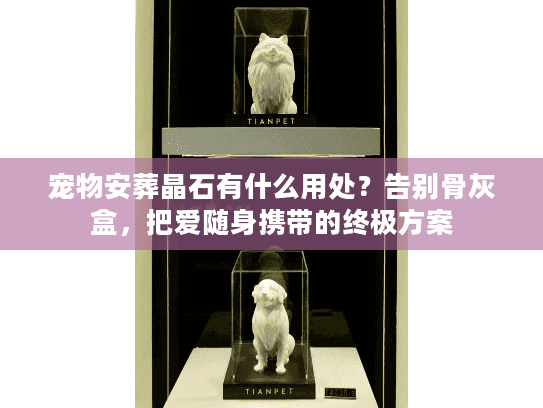 宠物安葬晶石有什么用处？告别骨灰盒，把爱随身携带的终极方案