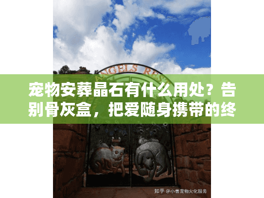 宠物安葬晶石有什么用处？告别骨灰盒，把爱随身携带的终极方案