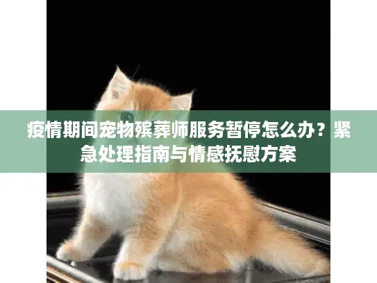 疫情期间宠物殡葬师服务暂停怎么办？紧急处理指南与情感抚慰方案