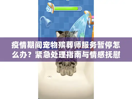 疫情期间宠物殡葬师服务暂停怎么办？紧急处理指南与情感抚慰方案