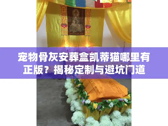 宠物骨灰安葬盒凯蒂猫哪里有正版？揭秘定制与避坑门道