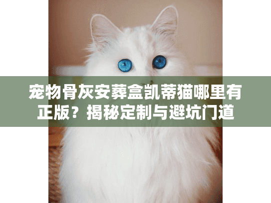 宠物骨灰安葬盒凯蒂猫哪里有正版？揭秘定制与避坑门道
