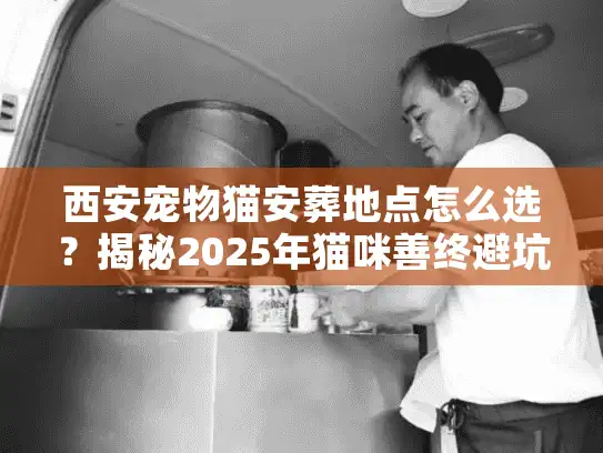 西安宠物猫安葬地点怎么选？揭秘2025年猫咪善终避坑实录
