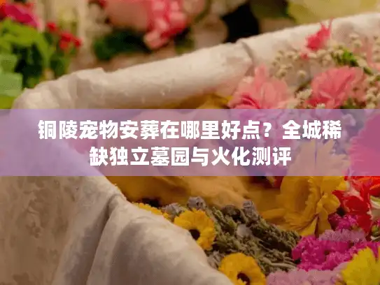 铜陵宠物安葬在哪里好点？全城稀缺独立墓园与火化测评