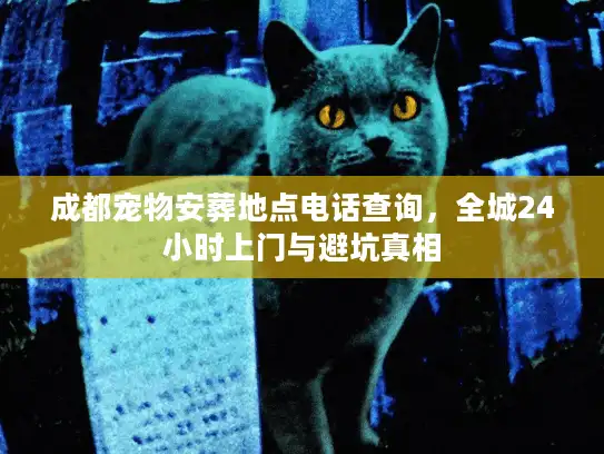 成都宠物安葬地点电话查询，全城24小时上门与避坑真相