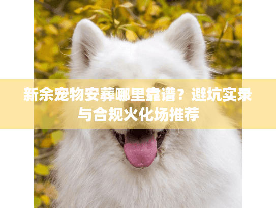 新余宠物安葬哪里靠谱？避坑实录与合规火化场推荐