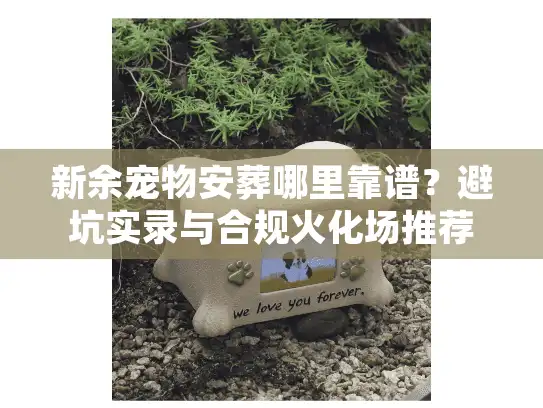 新余宠物安葬哪里靠谱？避坑实录与合规火化场推荐