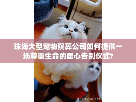 珠海大型宠物殡葬公司如何提供一场尊重生命的暖心告别仪式?