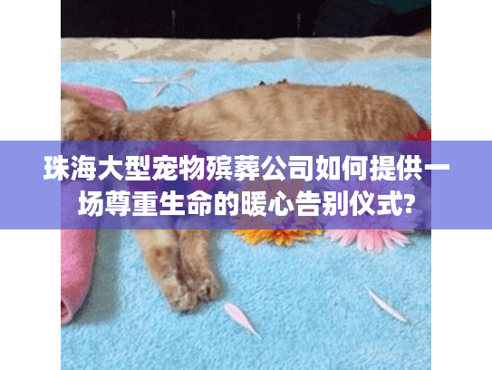 珠海大型宠物殡葬公司如何提供一场尊重生命的暖心告别仪式?