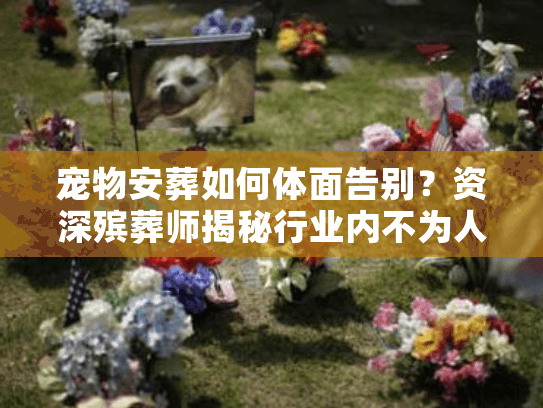 宠物安葬如何体面告别？资深殡葬师揭秘行业内不为人知的温情门道